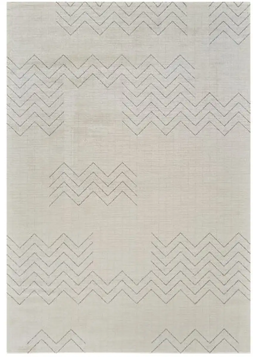 Cream and Beige Abstract Distressed Area Rug Photo 6
