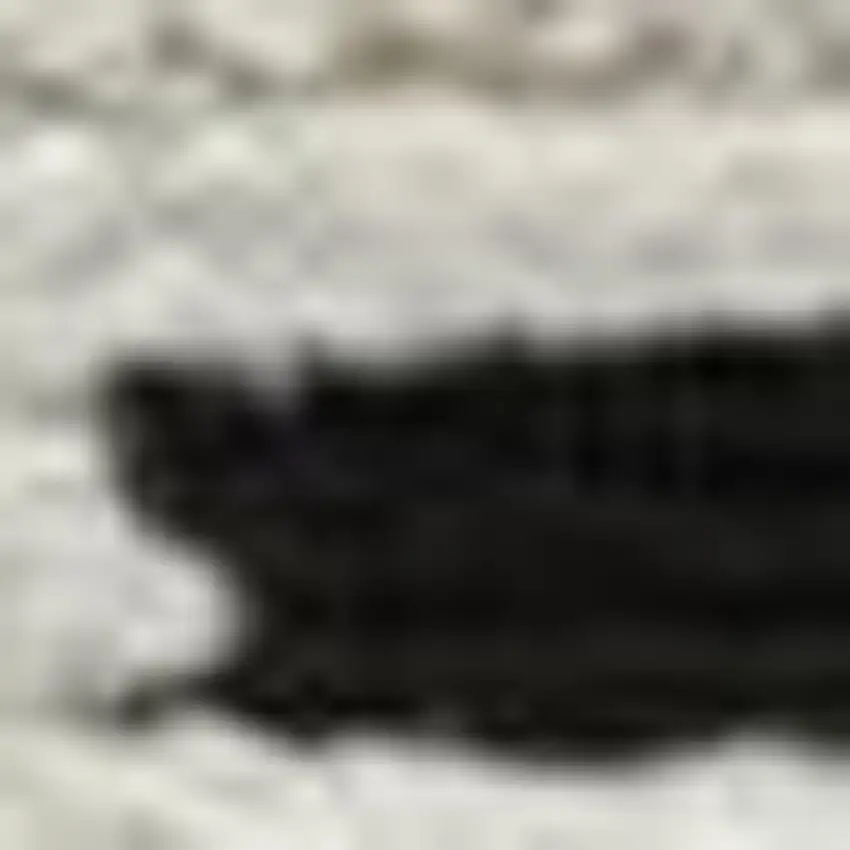 Cream and Black Abstract Distressed Area Rug Photo 3
