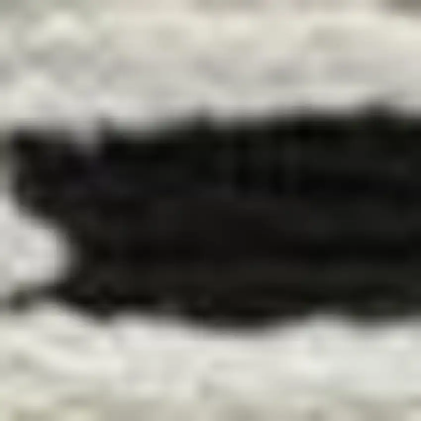 Cream and Black Abstract Distressed Area Rug Photo 3