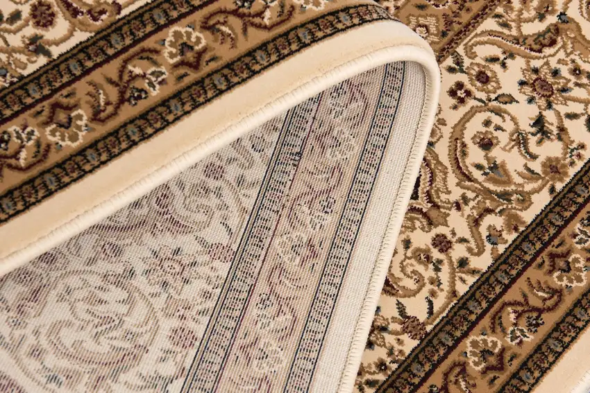 Black And Ivory Oriental Area Rug Photo 6