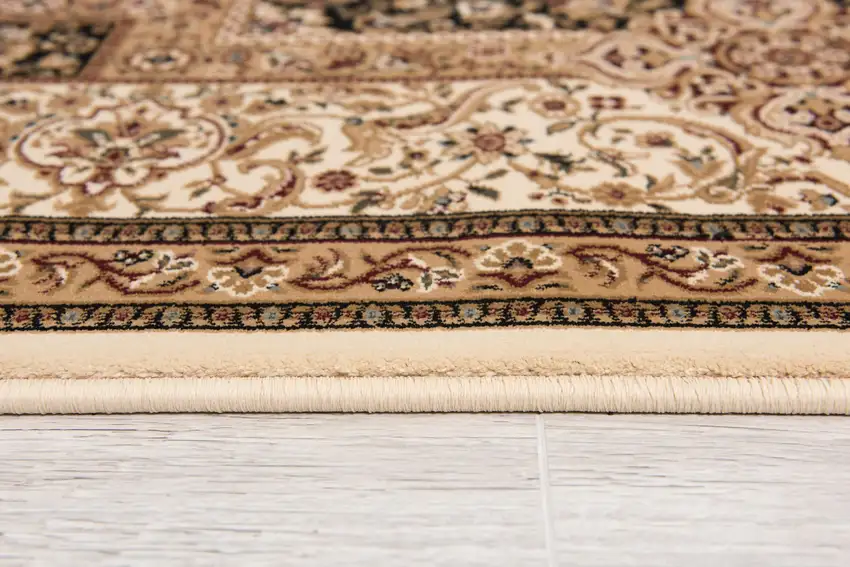 Black And Ivory Oriental Area Rug Photo 7