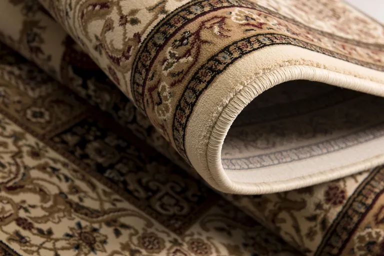 Cream and Black Decorative Area Rug Photo 2