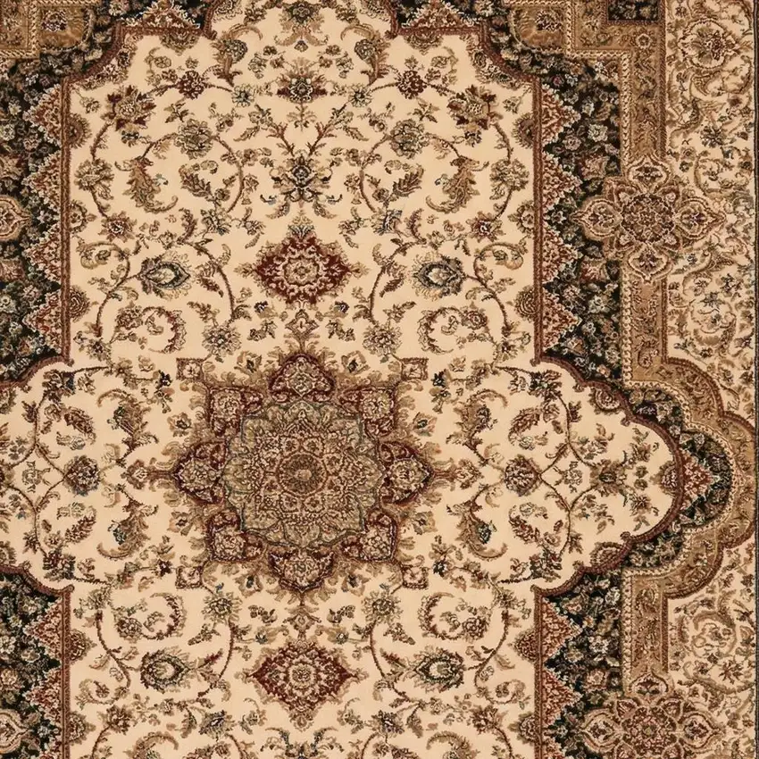 Black And Ivory Oriental Area Rug Photo 2