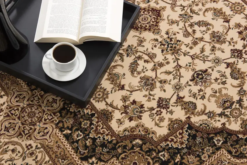 Cream and Black Decorative Area Rug Photo 2