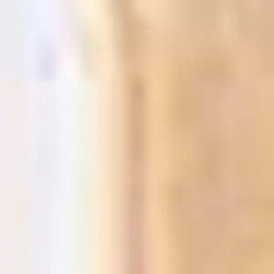 Photo of Cream and Blue Traditional Runner Rug