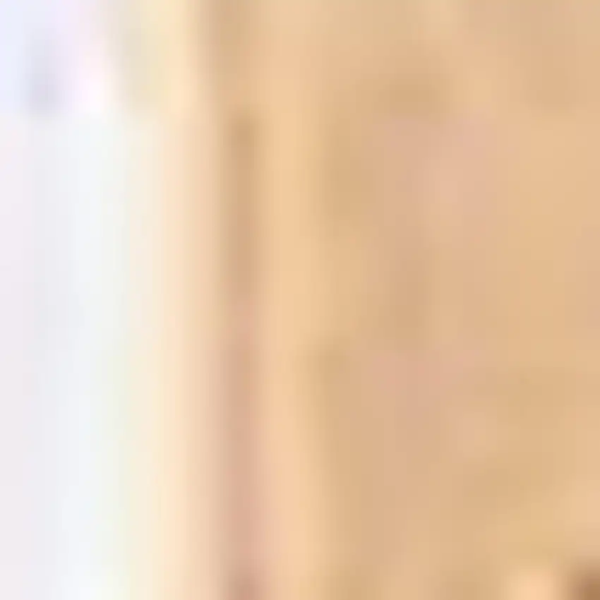 20' Blue And Ivory Oriental Runner Rug Photo 5