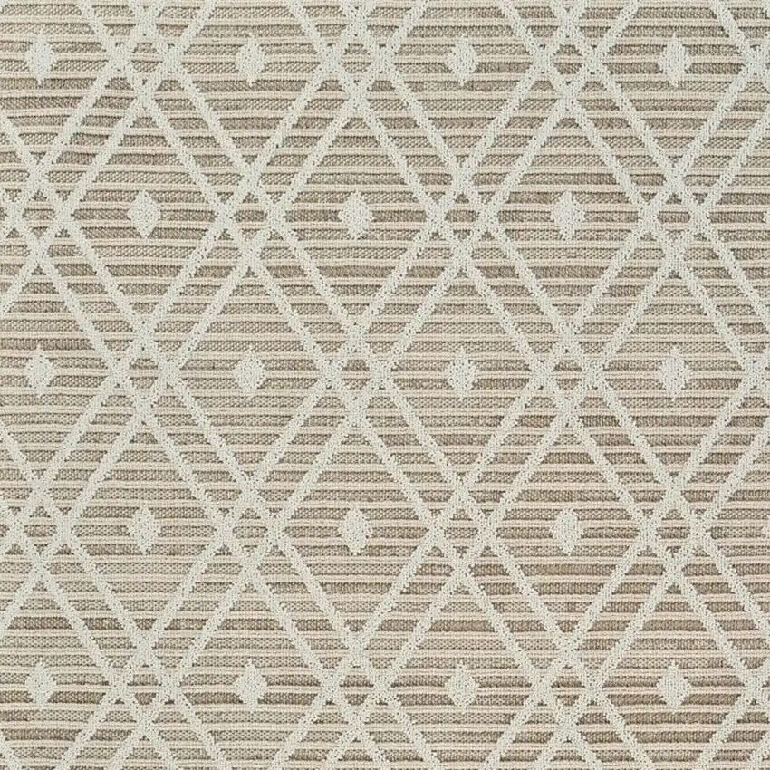 Cream and Brown Geometric Distressed Indoor Outdoor Area Rug Photo 4