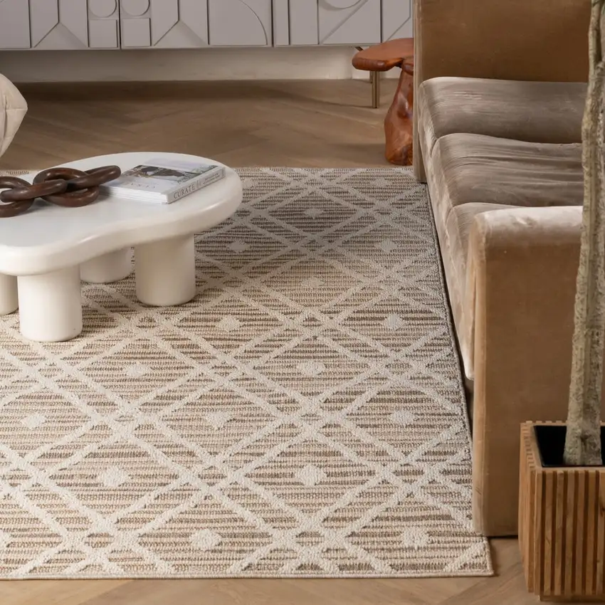 Cream and Brown Geometric Distressed Indoor Outdoor Area Rug Photo 9