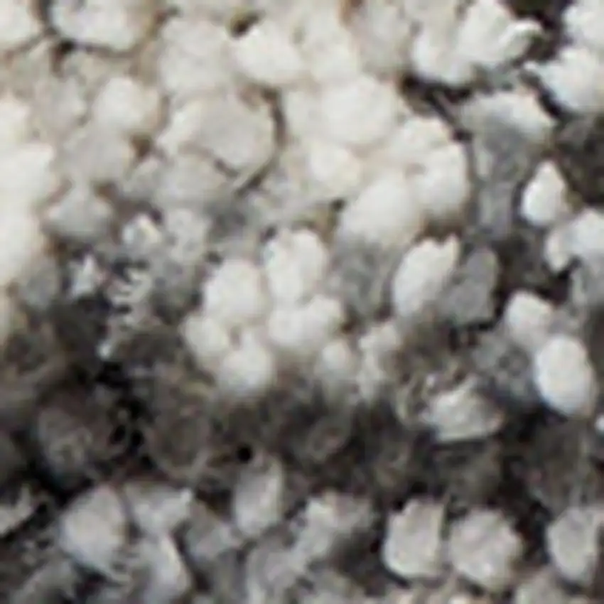 Cream and Gray Floral Medallion Distressed Area Rug Photo 3