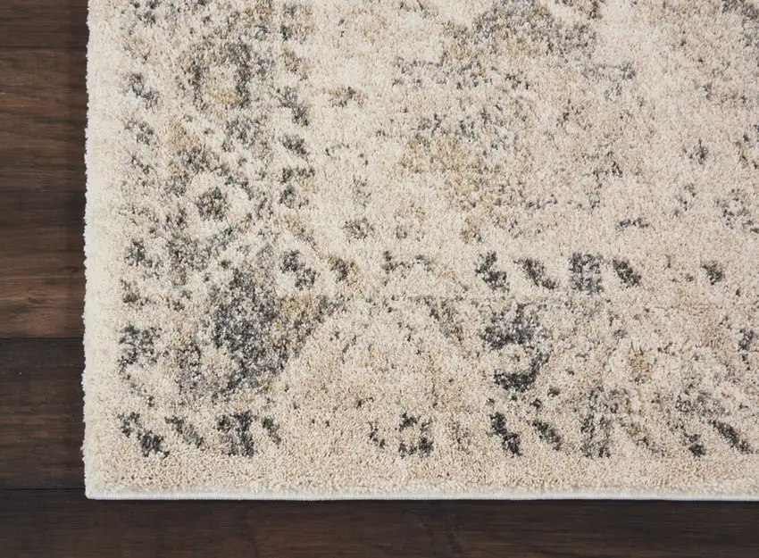Cream and Gray Medallion Distressed Area Rug Photo 4