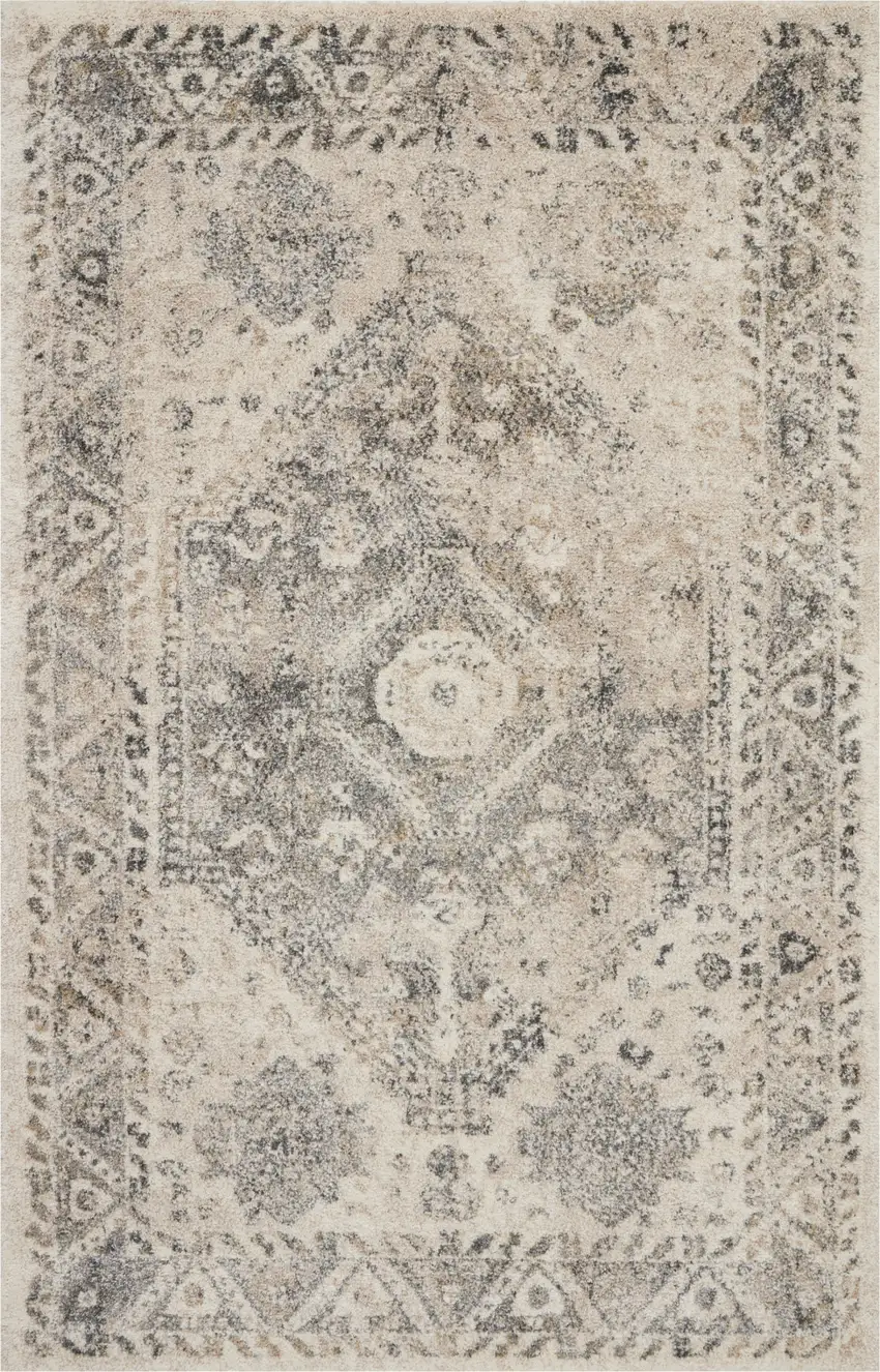 Cream and Gray Medallion Distressed Area Rug Photo 2