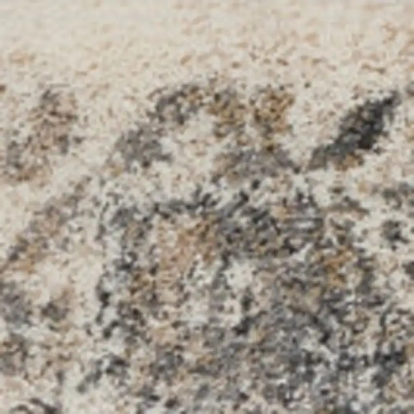 Cream and Gray Medallion Distressed Area Rug Photo 6