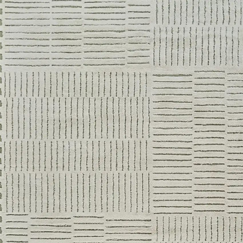 Cream and Green Abstract Distressed Area Rug Photo 4