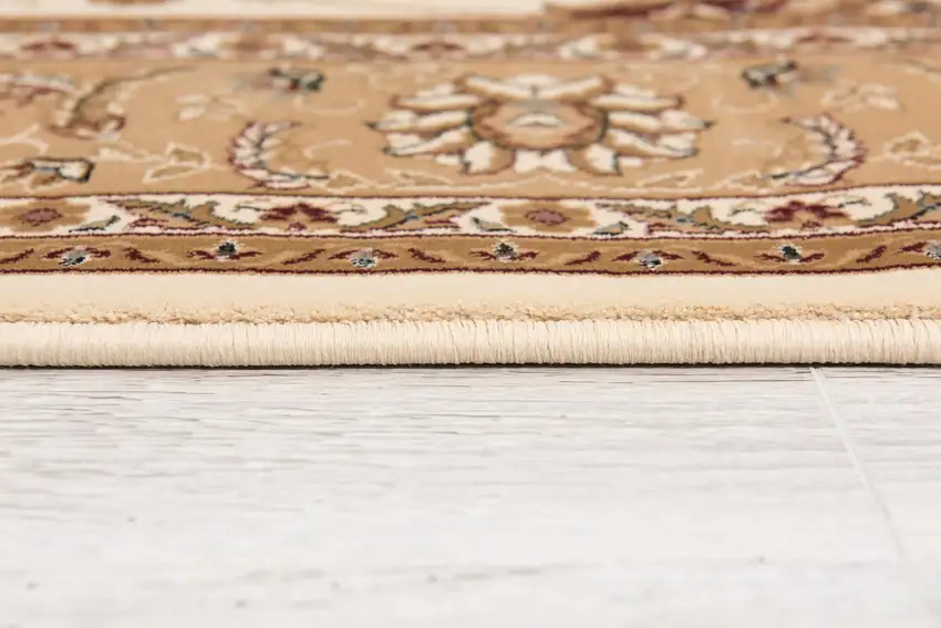 Cream and Tan Ornate Border Area Rug Photo 4