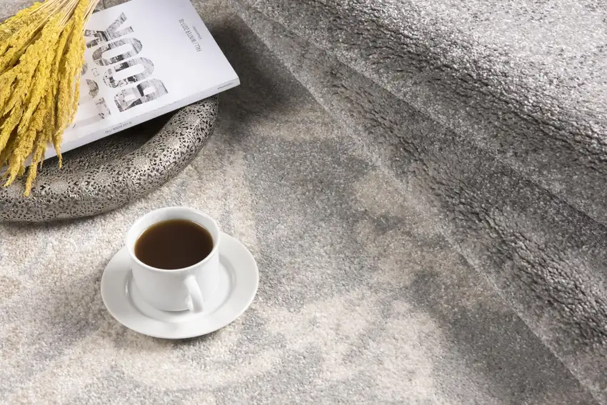 Damask Power Loom Stain Resistant Area Rug Photo 11
