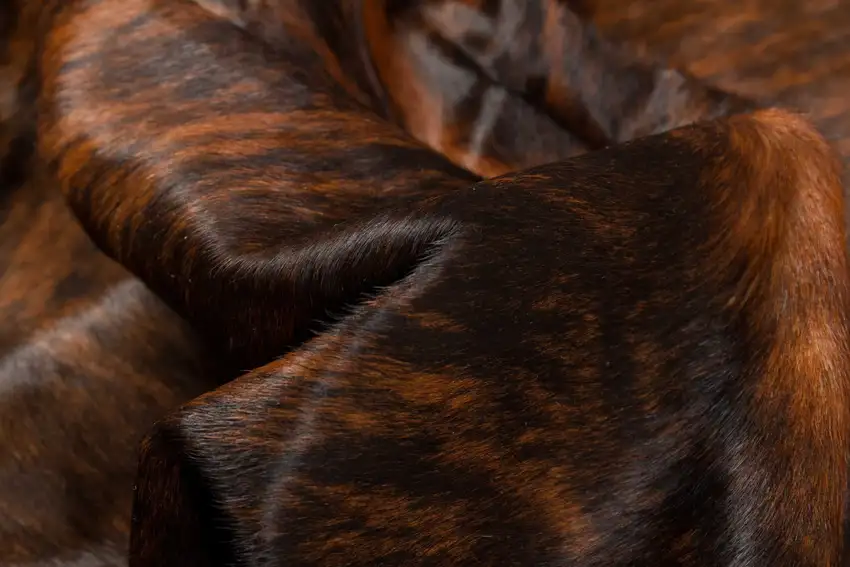 Dark Brindle Cowhide - Rug Photo 3