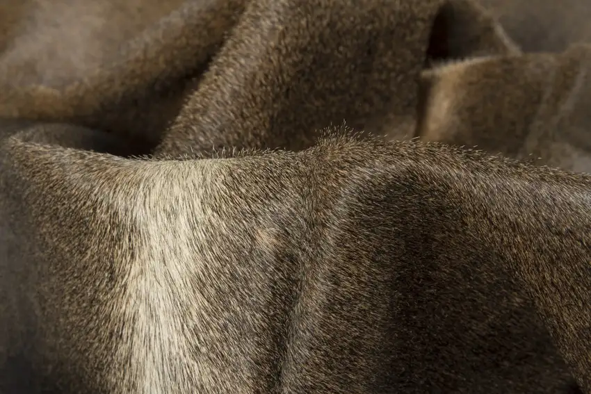 Dark Brown Cowhide Hand Knotted Area Rug Photo 5