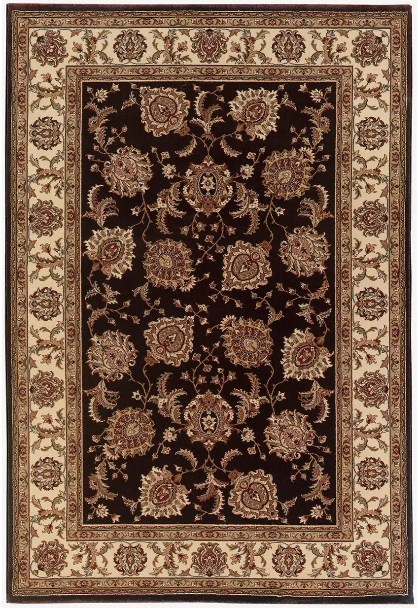 Dark Brown and Ivory Oriental Area Rug Photo 2