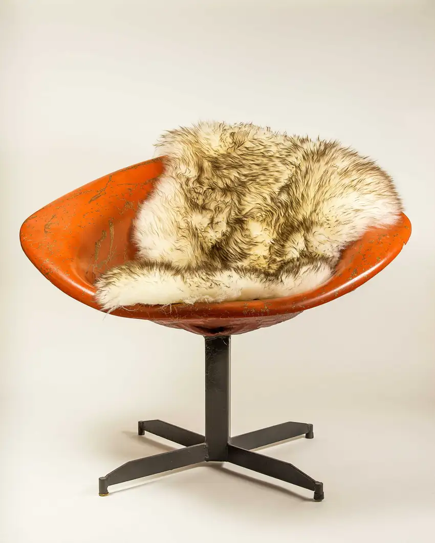 Dark Cream New Zealand Natural Sheepskin Rug Photo 6