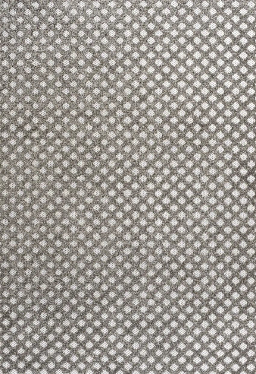 Dark Gray And Ivory Trellis Indoor Outdoor Area Rug Photo 3