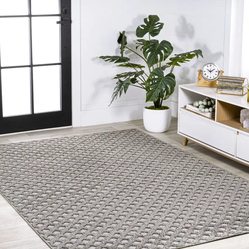 Dark Gray And Ivory Trellis Indoor Outdoor Area Rug Photo 8