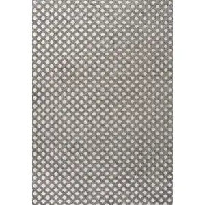 Photo of Dark Gray And Ivory Trellis Indoor Outdoor Area Rug