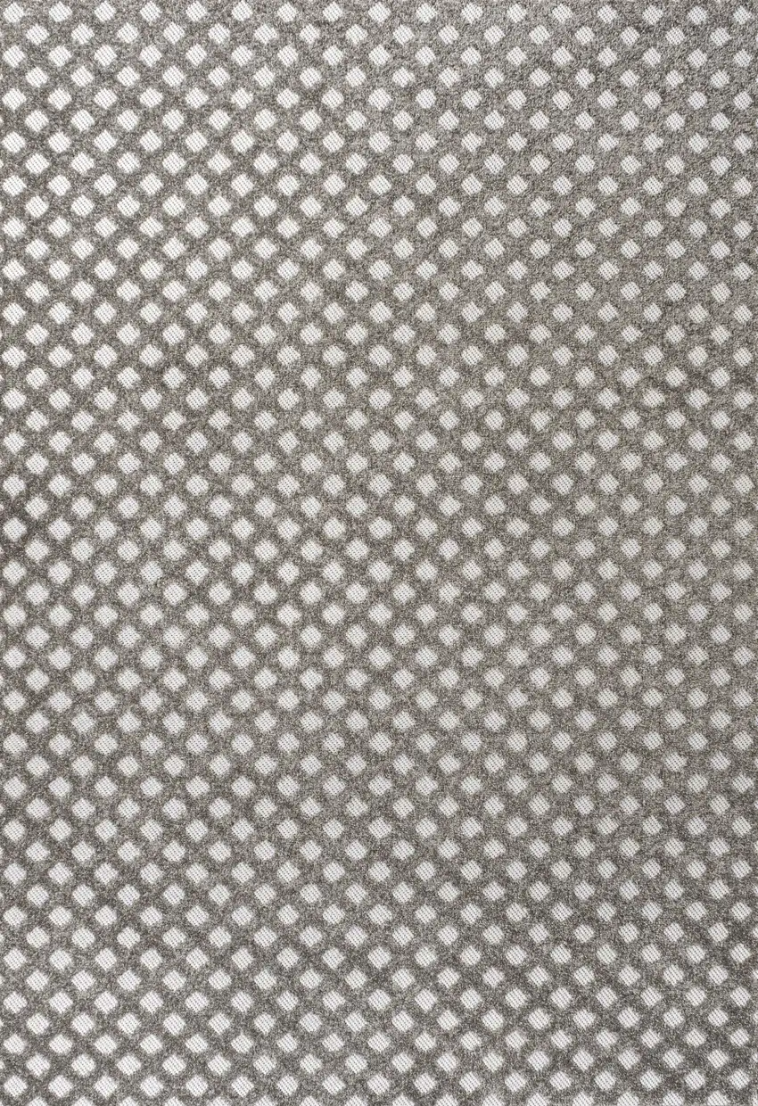 Dark Gray And Ivory Trellis Indoor Outdoor Area Rug Photo 1