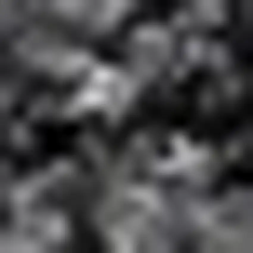 Dark Gray Flatweave Area Rug Photo 3