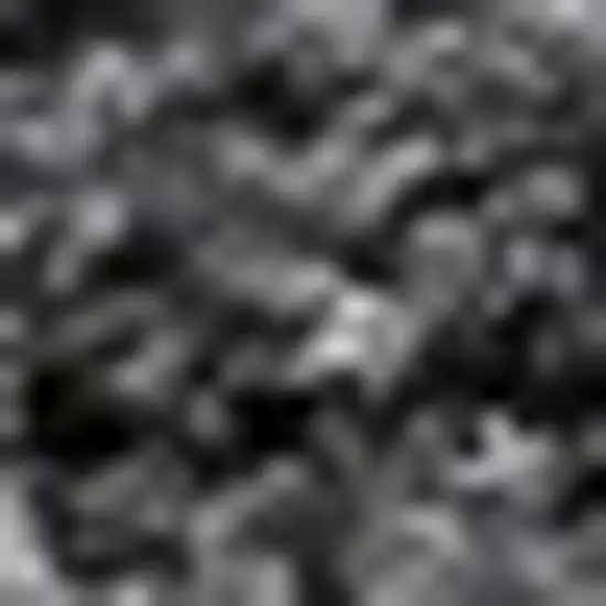 Dark Gray Flatweave Area Rug Photo 4