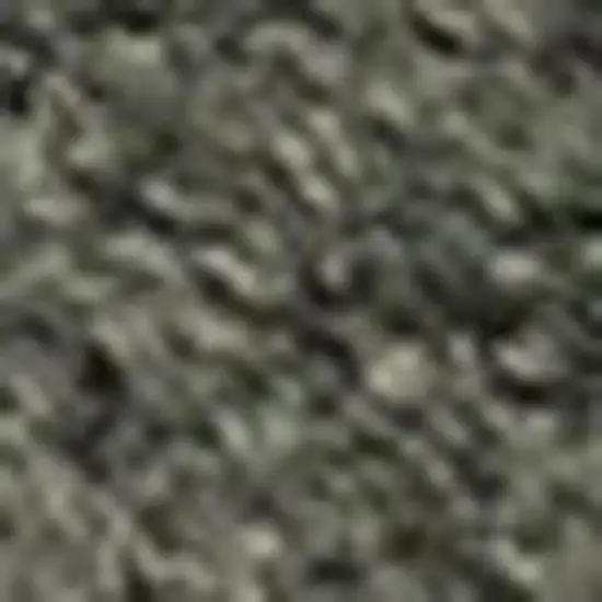 Dark Green Area Rug Photo 5