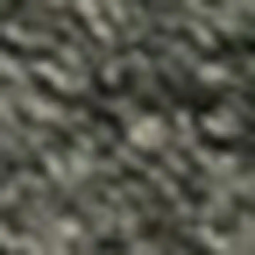 Dark Green Area Rug Photo 4