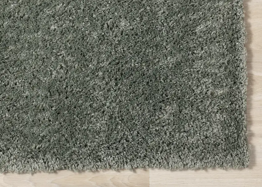 Dark Green Area Rug Photo 9