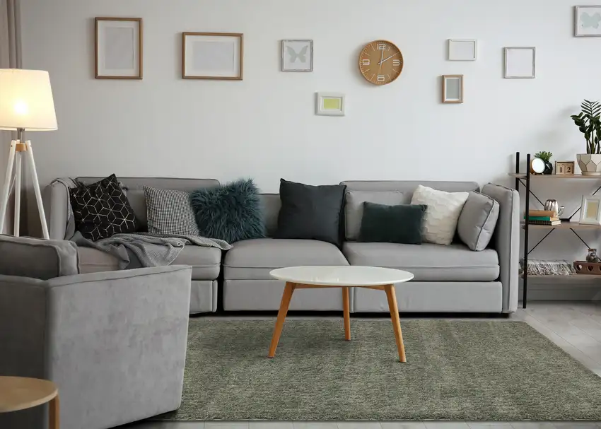 Dark Green Area Rug Photo 6