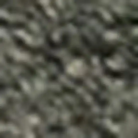 Dark Green Area Rug Photo 4