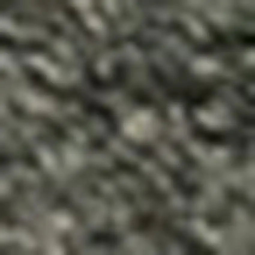 Dark Green Area Rug Photo 4