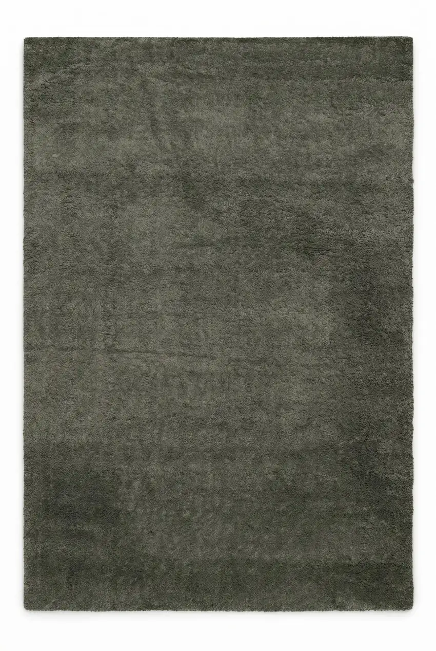 Dark Green Area Rug Photo 2