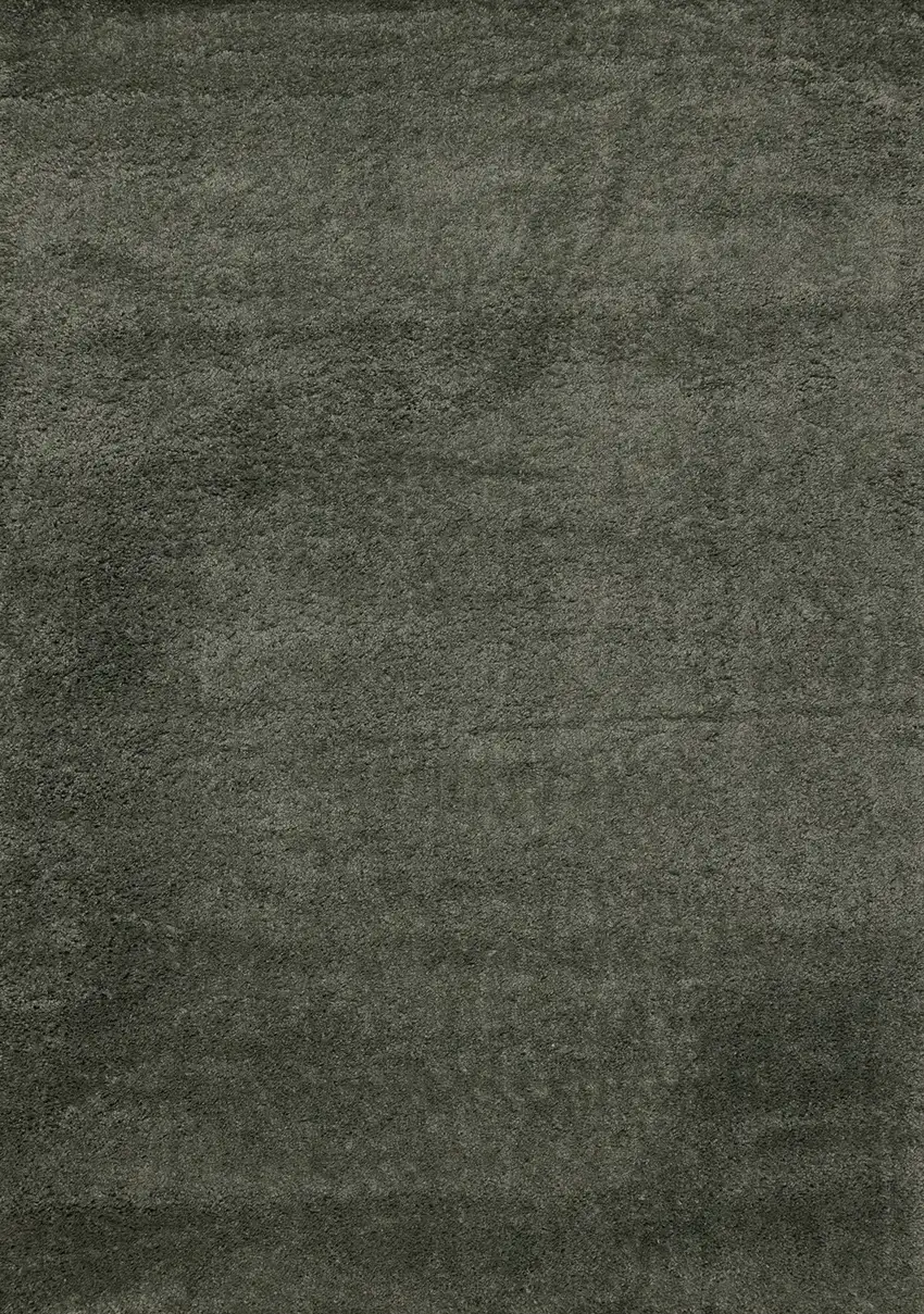 Dark Green Area Rug Photo 4