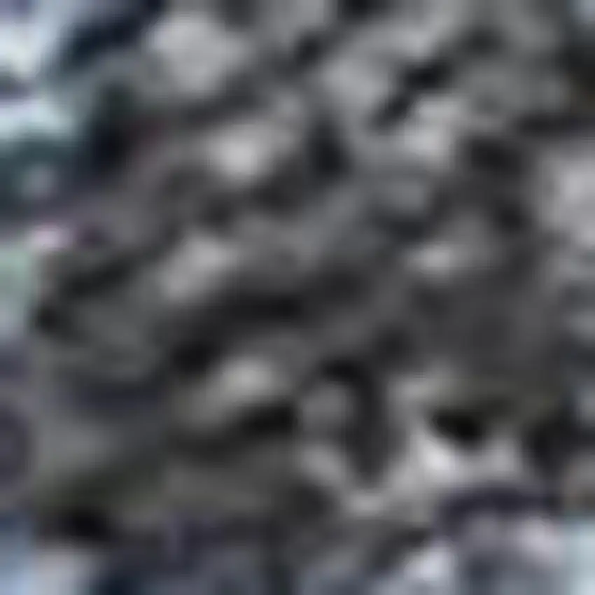 Denim Blue And Beige Floral Washable Indoor Outdoor Area Rug Photo 3