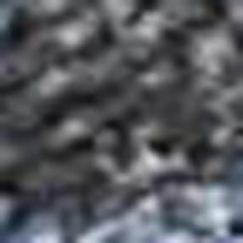 Denim Blue And Beige Floral Washable Indoor Outdoor Area Rug Photo 3