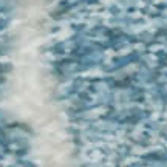 Denim Blue And Ivory Floral Washable Area Rug With UV Protection Photo 4