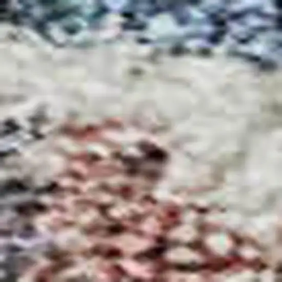 Denim Blue Beige And Copper Medallion Washable Area Rug With UV Protection Photo 2