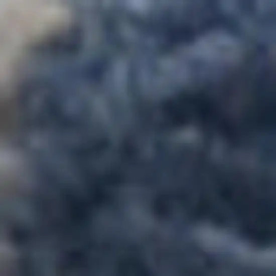 8' Blue And Orange Floral Distressed Runner Rug Photo 1