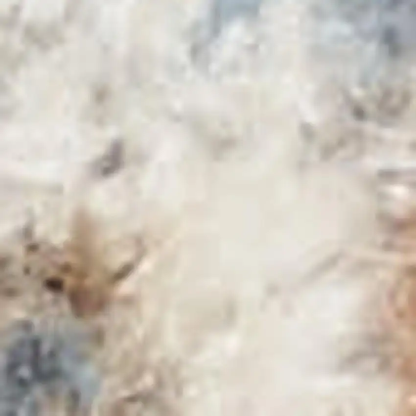 Denim Blue Oriental Power Loom Distressed Washable Area Rug Photo 3