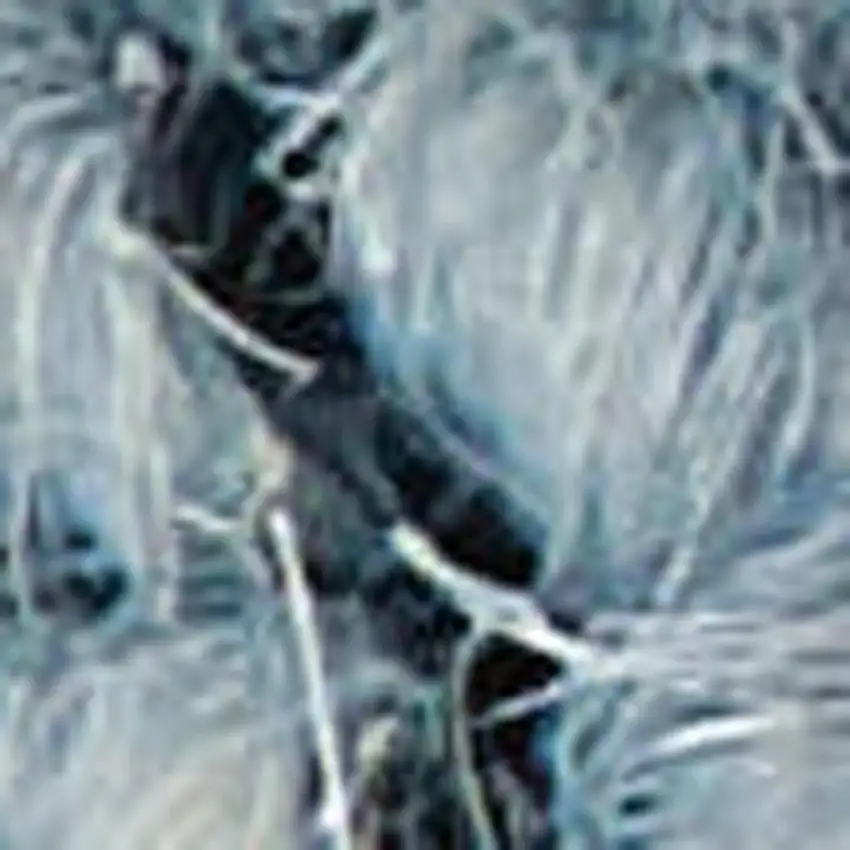 Denim Blue Wool Area Rug Photo 3