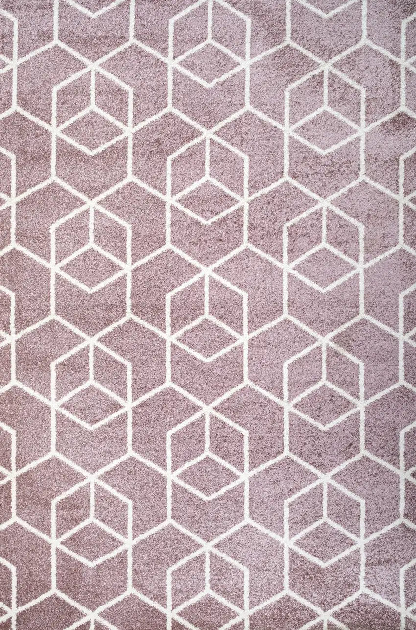 Diamond Area Rug Photo 4