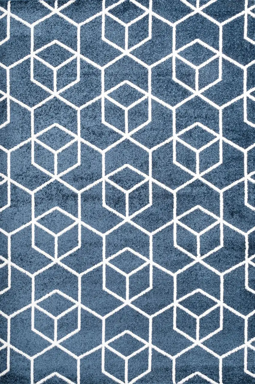 Diamond Area Rug Photo 4