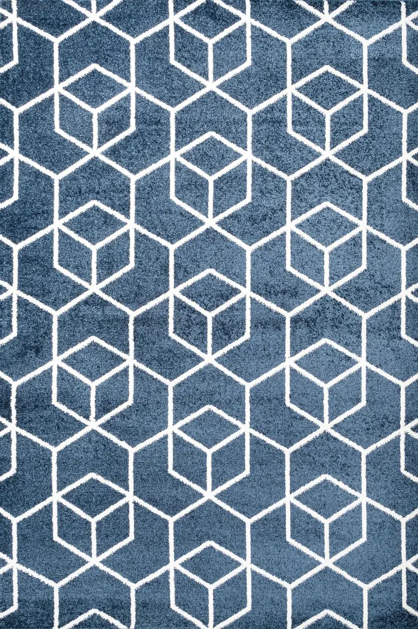 Diamond Area Rug Photo 2