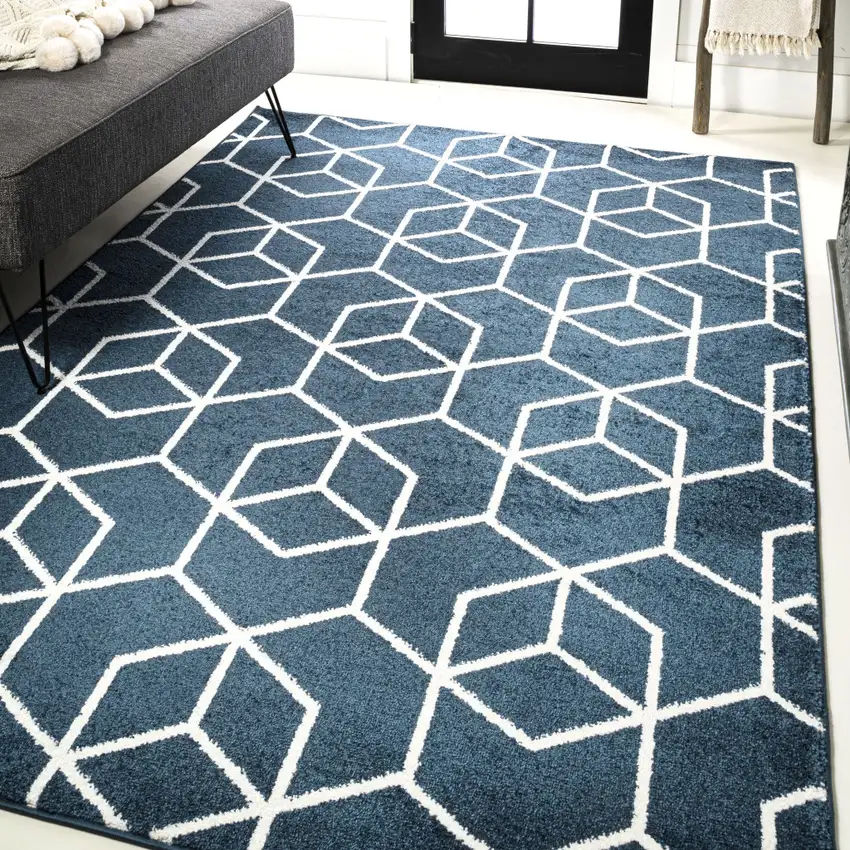 Diamond Area Rug Photo 5