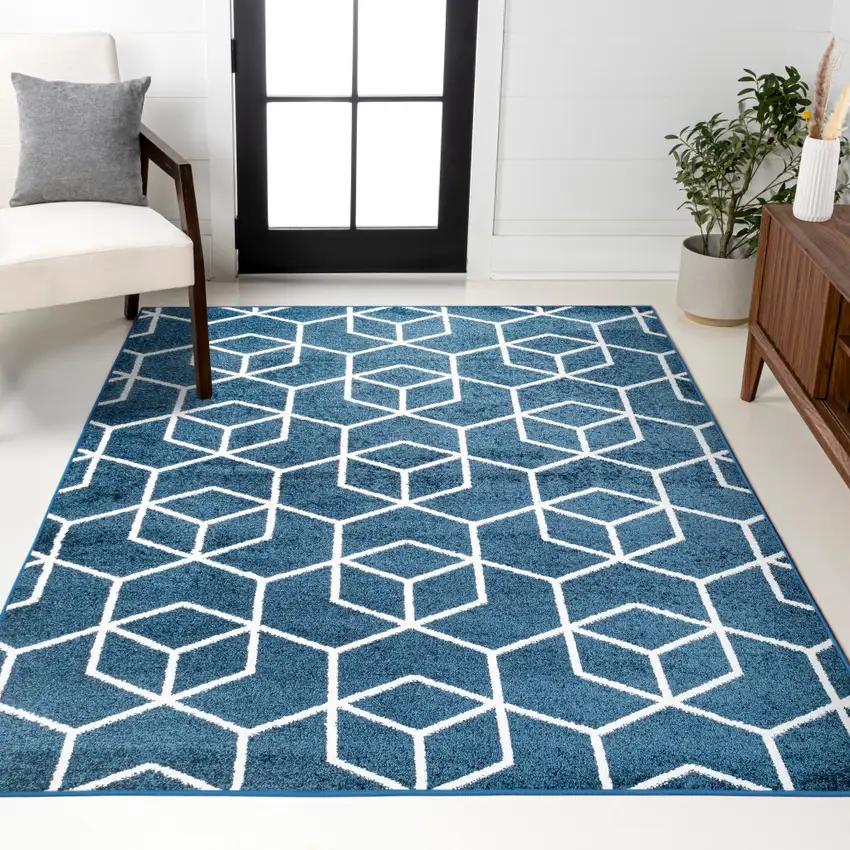 Diamond Area Rug Photo 8
