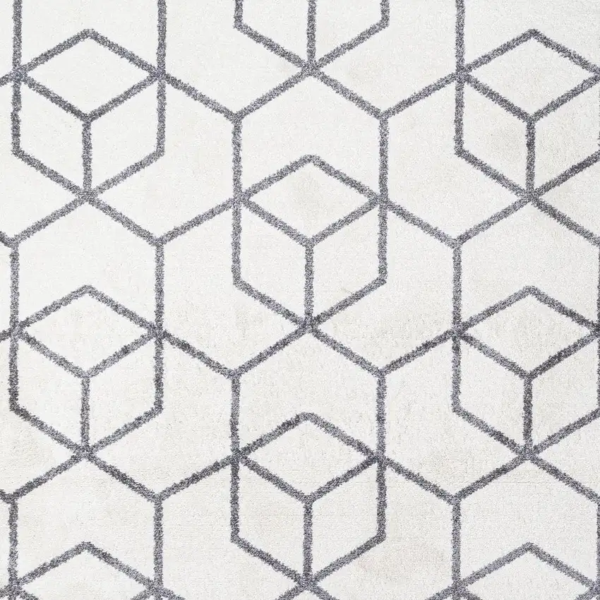 Diamond Area Rug Photo 3